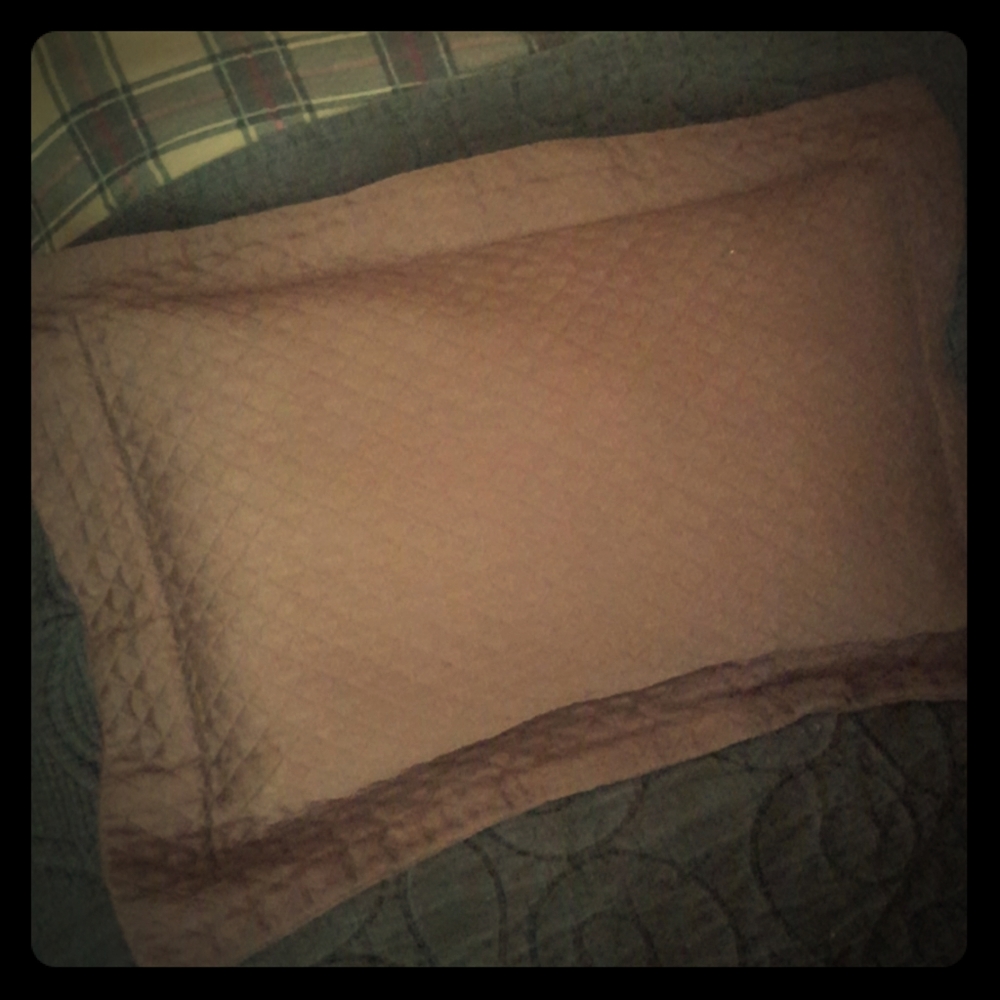 Restoration Hardware throw pillow sham cover